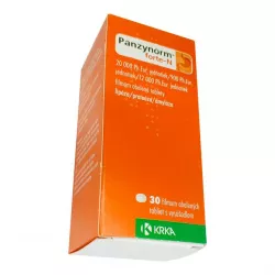Панзинорм форте табл. 20000 ЕД №30 фото