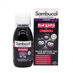 Самбукол сироп черная бузина д/дет фл 120мл фото